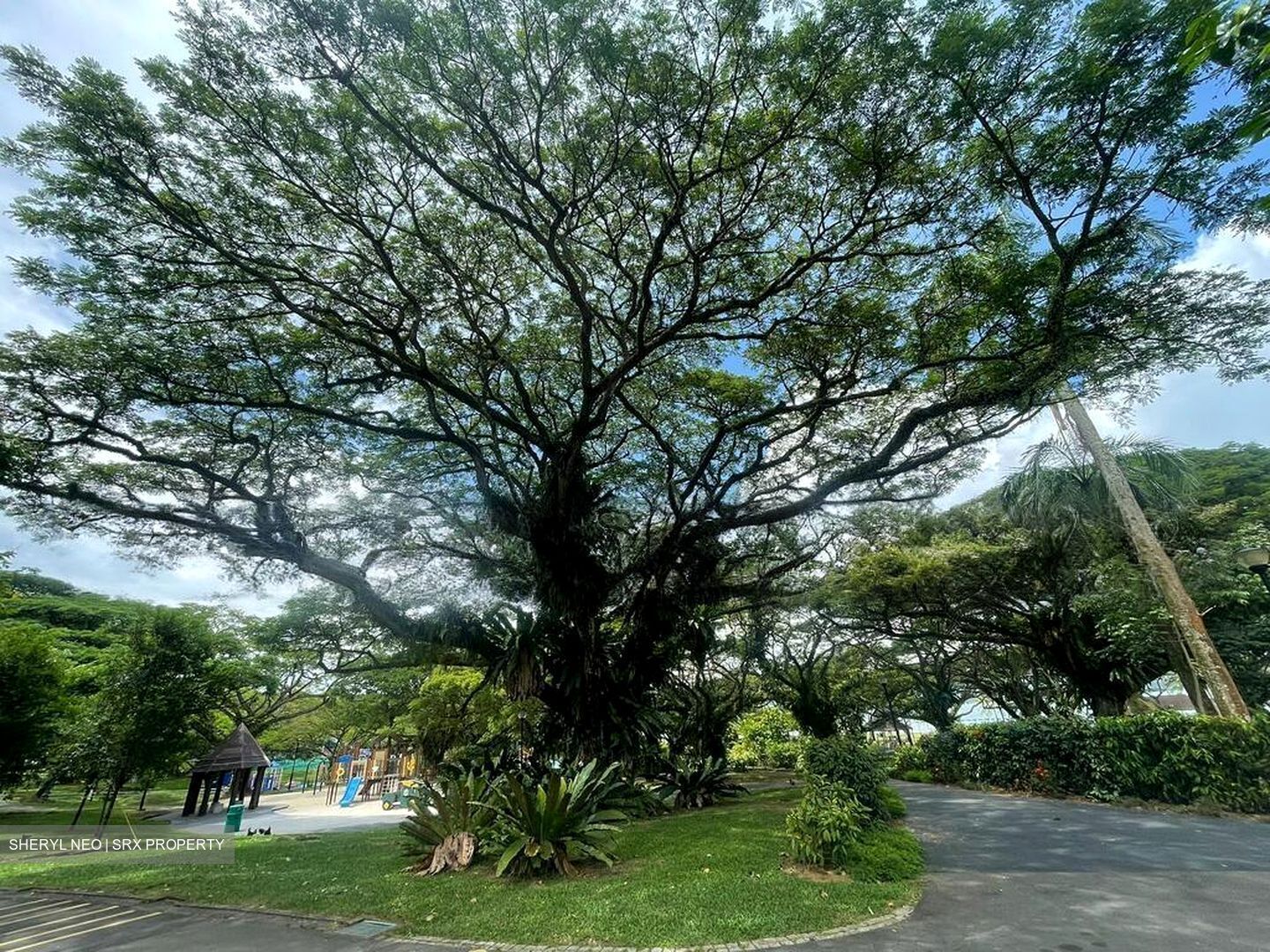 Pasir Ris Beach Park (D18), Semi-Detached #496784371